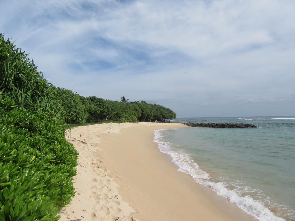 Colonial Surfing Villa Hostel & Home Stay ミディガマ・イースト エクステリア 写真