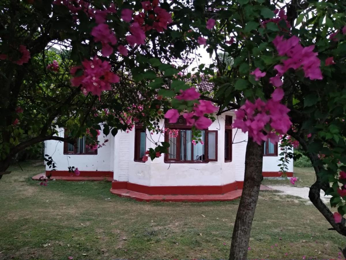 Colonial Surfing Villa Hostel & Home Stay ミディガマ・イースト エクステリア 写真
